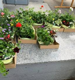 Dejavnosti Turističnega društva Radomlje