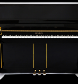 Uglasitev klavirja Ljubljana, Slovenija