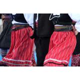 Društvo Šentrupertske šmarnice