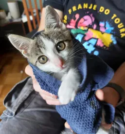 Veterinarska ambulanta za male živali Osrednja Slovenija