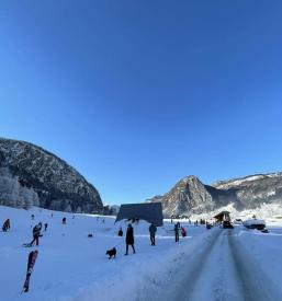 Senožeta tek na smučeh
