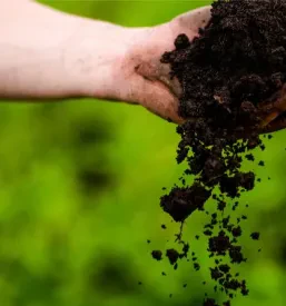 Biološke čistilne naprave za poljedelstvo Slovenija