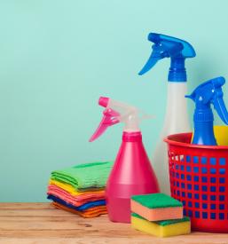 Čiščenje Slovenske Konjice, Slovenska Bistrica, Štajerska