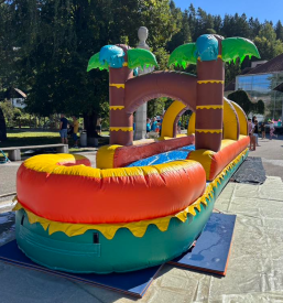 Kulturno ozaveščanje za mlade Mežica, Koroška