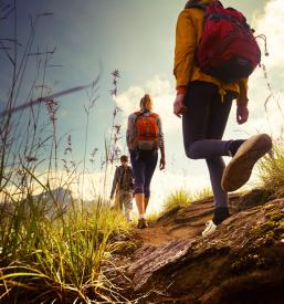 Turistična ponudba v Brežicah, Posavje