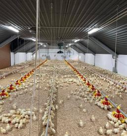 Kmetijska mehanizacija Posavje