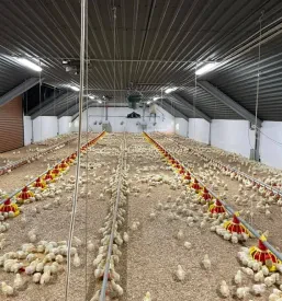 Kmetijska mehanizacija Posavje