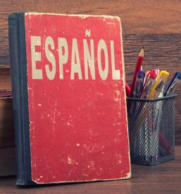 Ugodno prevajanje angleščine in španščine Slovenija