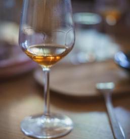 Tour of the Vipava Valley wine cellar