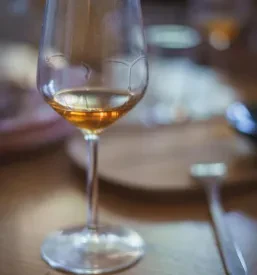 Tour of the Vipava Valley wine cellar