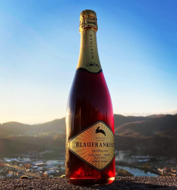 Top wineries and vineyards in Posavje Slovenia