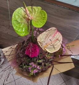 Pogrebno cvetje Obala