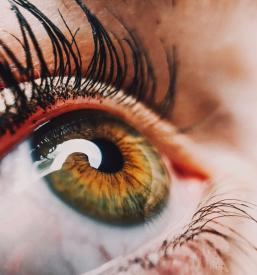 Okulistična ambulanta Primorska