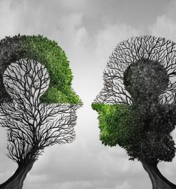 Samoplačniški psihoterapevt Primorska