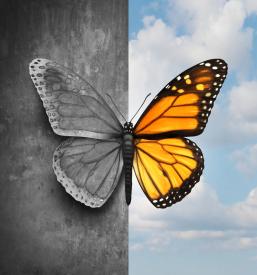 Psihološko svetovanje