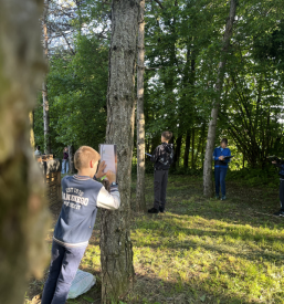 Vpis v dobro osnovno šolo Ilirska Bistrica