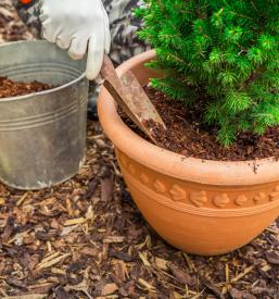 TGM, gradbeni izkopi, mulčenje Štajerska