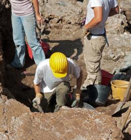 Izkopi, čiščenje parcel in mulčenje površin v Posavju