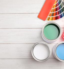 Trgovina s slikopleskarskim materialom za beljenje Celje, Slovenija