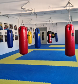 Boksarski klub Boxeo Novo mesto
