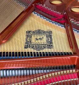 Koncertna uglasitev klavirja Ljubljana