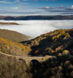Ograja za most Slovenija