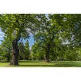 Vesna Vaupotič - Sobodajalka