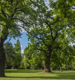 The best family holiday house Puconci