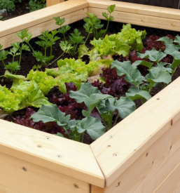 Obdelava lesa, lepljenje lesa na Koroškem