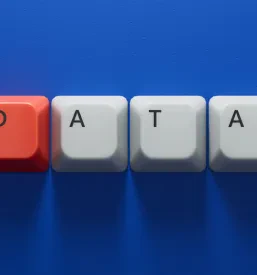 Data baza