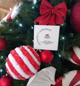 Kakovostno izobraževanje odraslih Ljubljana