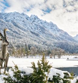 Apartma za 4 Kranjska Gora