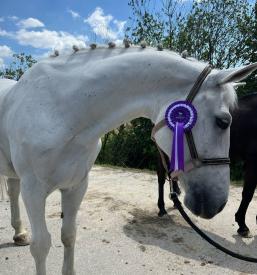 Otroški rojstni dnevi Savinjska