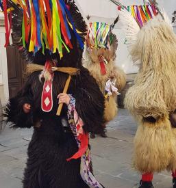 Ohranjanje tradicije kurentovanja Ptuj, Podravje
