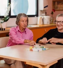 Oskrba starejših občanov po Sloveniji