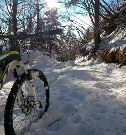 Bike shop, električna kolesa Nova Gorica, Goriška, Slovenija