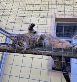 Popoldanski počitek na zraku