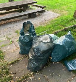 Čistilne akcije v Radomljah