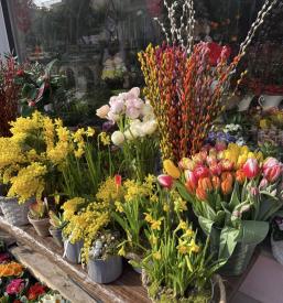 Dostava cvetja slovenska obala