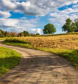 Blaženje simptomov rakavih bolezni s konopljo Slovenija