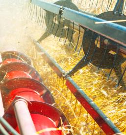 Spravilo pridelka s kombajnom Ljubljana