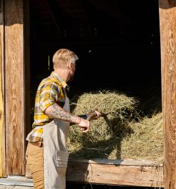 Tourist farm, family apartment Sevnica, Krško