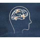 "Filko" Filiput Darko s.p.