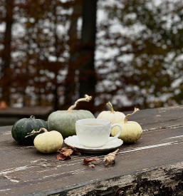 Praznično vzdušje v planinskem domu na Mrzlici