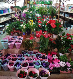 Urejeni grobovi v Zasavju