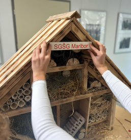 Urnik in dejavnosti Srednja gradbena šola Maribor