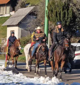 Prireditve Čeče, Trbovlje