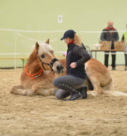 Šola jahanja na Savinjskem