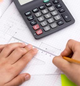 Priprave na maturo Posavje