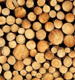 Prodaja rezanega lesa Luče